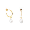 Gold Hoop Pearl Earrings