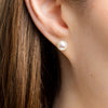 White Freshwater Pearl Stud Earrings Medium